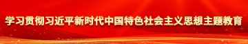 美女插逼网页版学习贯彻习近平新时代中国特色社会主义思想主题教育